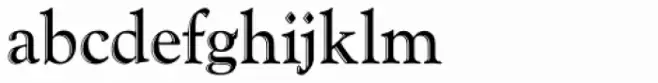 Goudy Handtooled D