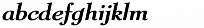 Il Coliseum Bold Italic