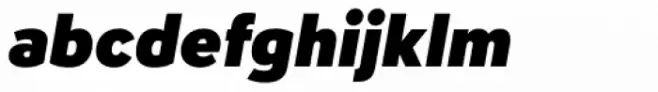 Infoma Ultra Italic