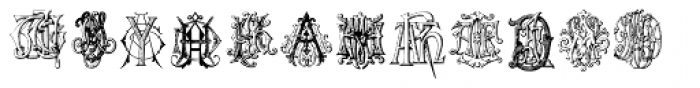 Intellecta Monograms Triple AAA-AYM