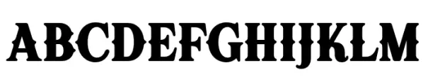 Kleader Serif Regular