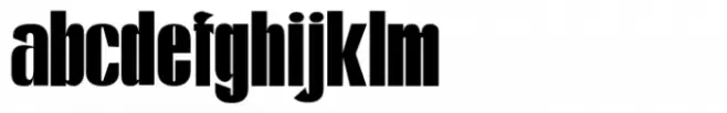 Kontes Compressed Regular bold