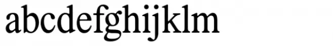Lastik Regular
