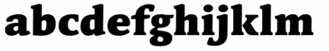Linotype Syntax Serif Black