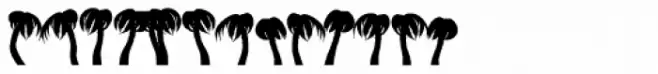 Miami EF Alternates