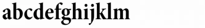 Minion Pro SubHead Cond Bold