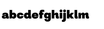 Modern Sans Black