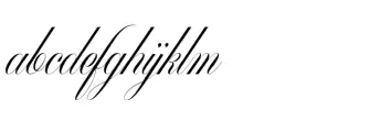 Mollani