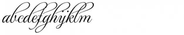 MonteCarlo Script B