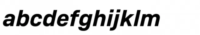 Monto Screen Bold Italic