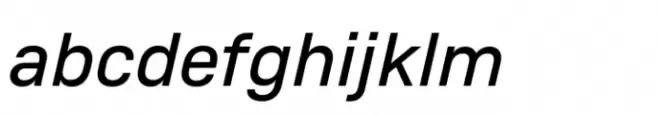 Monto Screen Book Italic