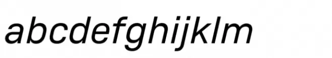 Monto Screen Regular Italic