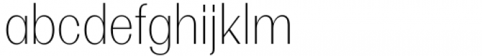 Multipa Thin