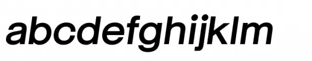 Neue June Demi Italic