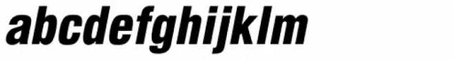 Newhouse DT Condensed Black Oblique