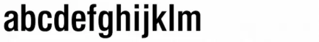 Newhouse DT Condensed Bold