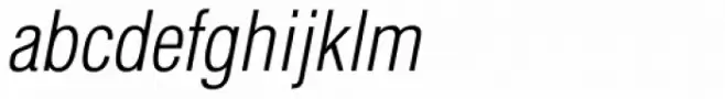 Newhouse DT Condensed Light Oblique