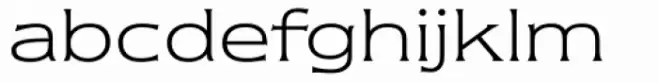 Newtext Light