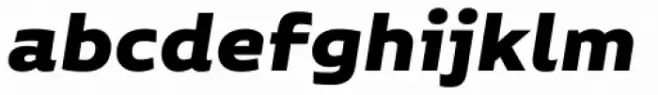 Niemeyer Black Italic