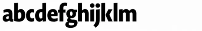 Novel Display Black Extra Condensed