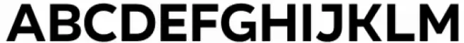 Organetto Bold