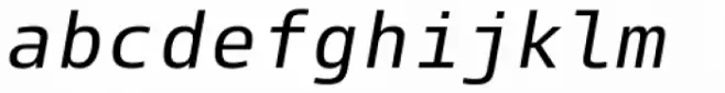 Paradroid Mono Italic