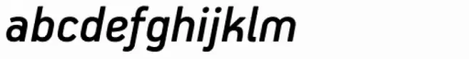 PF Handbook Pro Medium Italic