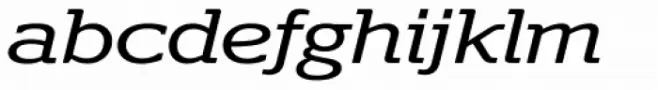 Polyphonic Extended Italic
