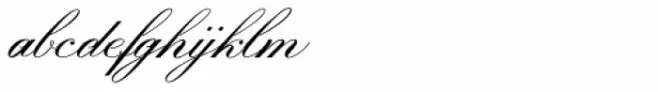 Prestissimo Classy Script Bold