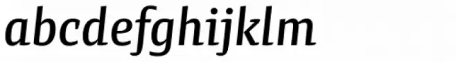 Preto Semi OT Std Medium Italic