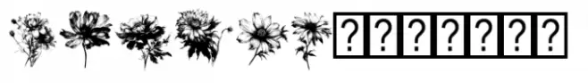 PTx Flowers Regular