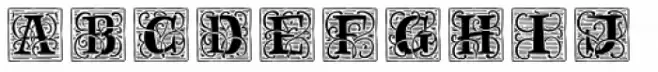 Renaissance Initial Line White