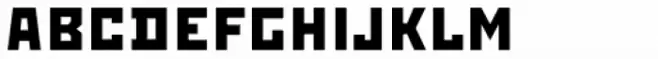 Rodchenko Bold