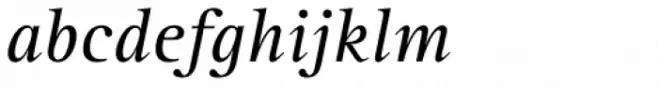 Rotis Serif Pro 56 Cyrillic Italic