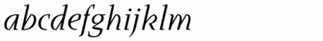 Runa Serif Std Italic