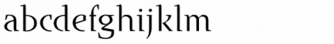 Runa Serif Std Light