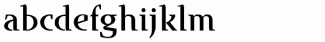 Runa Serif Std Medium