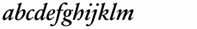 Sabon Next Pro Demi Italic