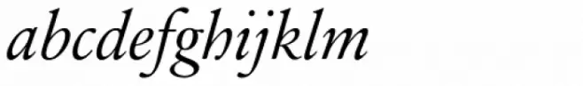 Sabon Next Pro Display Italic