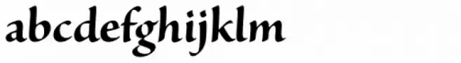 Sanvito Pro SubHead Bold