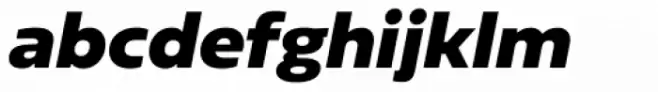 Sarun Pro Black Italic