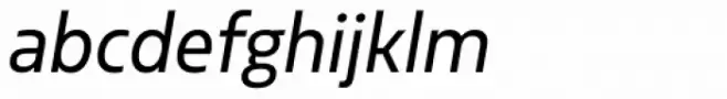 Sarun Pro Narrow Book Italic