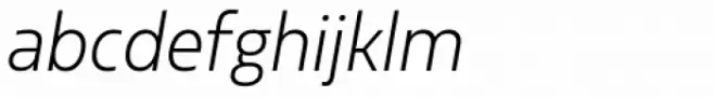 Sarun Pro Narrow Light Italic