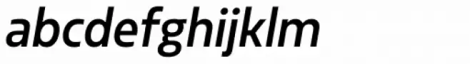 Sarun Pro Narrow Medium Italic