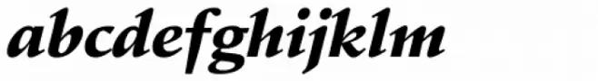 Schneidler Amalthea Black Italic