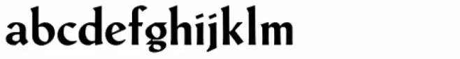 Schneidler Latein Bold