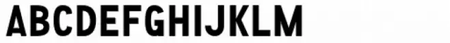 Science Fair JNL