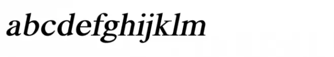 Shree Devanagari 0708 Black Italic