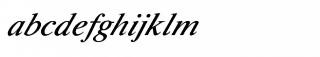 Shree Devanagari 0991 Bold Italic