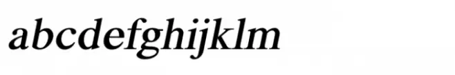 Shree Devanagari 1204 Italic